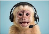 Headshot of a monkey wearing a call-center headset