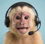 A monkey wearing a call-center headset, mid-shout, representing our support team