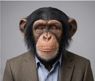 Headshot of Kevin, a chimpanzee in a blazer, styled like a corporate testimonial photo